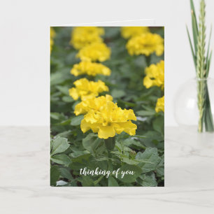 Tarjeta pensamiento marioro amarillo de ti