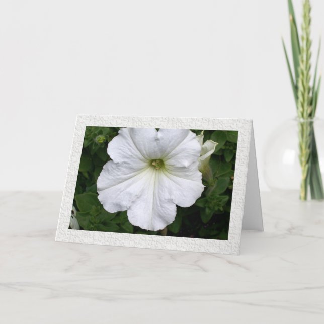 Tarjeta Pensamientos de You Petunia (Anverso)