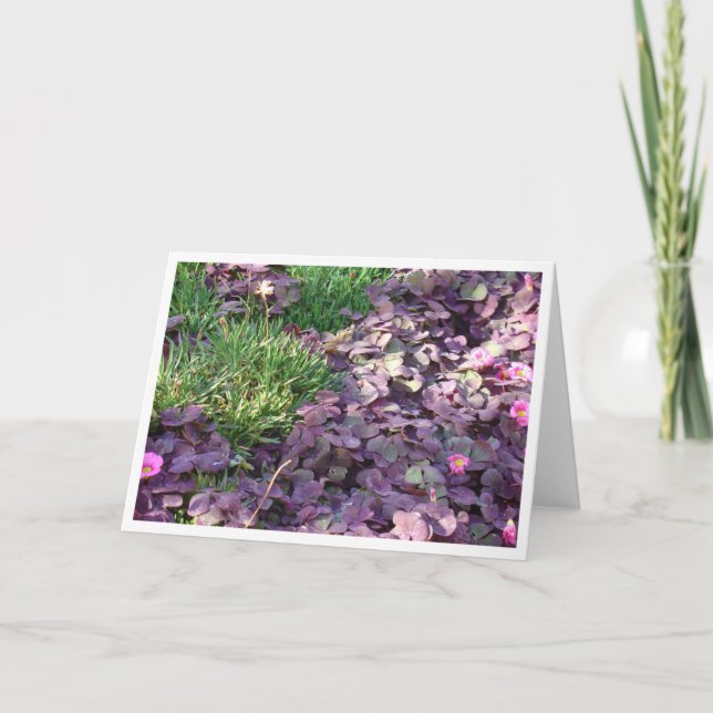 Tarjeta Pensamientos púrpuras (Anverso)