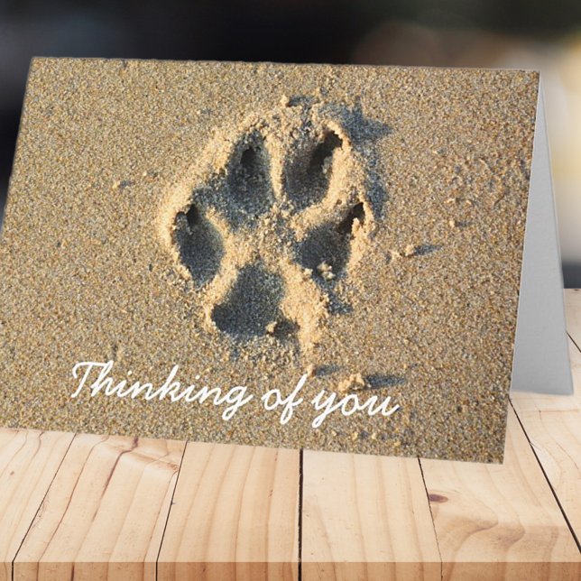 Tarjeta Pensando en la simpatía de los perros Mascotas sim (Subido por el creador)