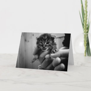 Tarjeta ¡Pensando en Mew!