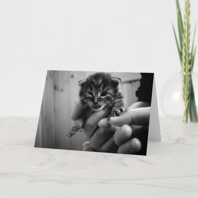 Tarjeta ¡Pensando en Mew! (Anverso)