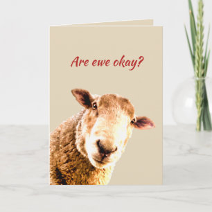 Tarjeta Pensando en oveja divertida humor animal