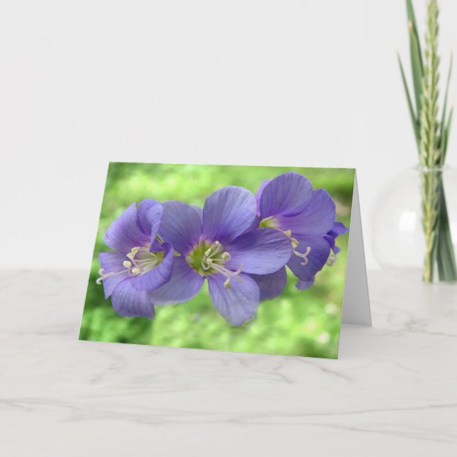 Tarjeta Pensando en ti (Anverso)