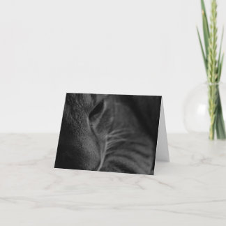 Tarjeta "Pensando En Ti..."