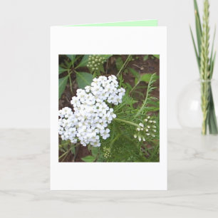 Tarjeta Pensando en ti