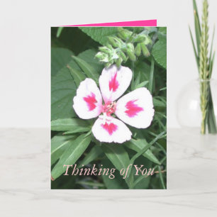 Tarjeta Pensando en ti