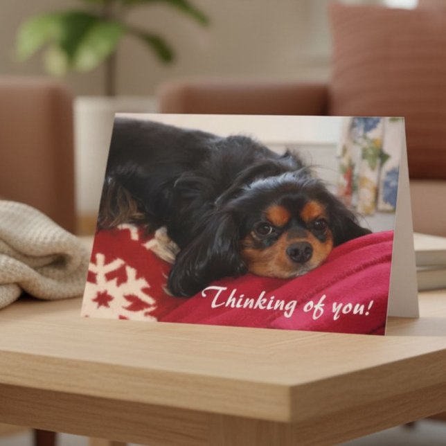 Tarjeta Pensando en Ti Amante de Perros Cavalier King Char (Subido por el creador)