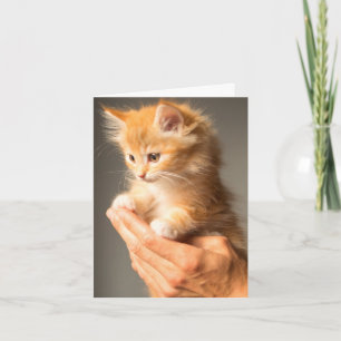 Tarjeta Pensando En Ti Amante Gato Gatito Gatito Gatito