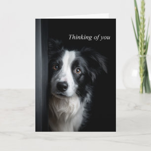 Tarjeta Pensando en ti Border Collie