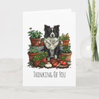 Pensando en ti Border Collie Jardinería