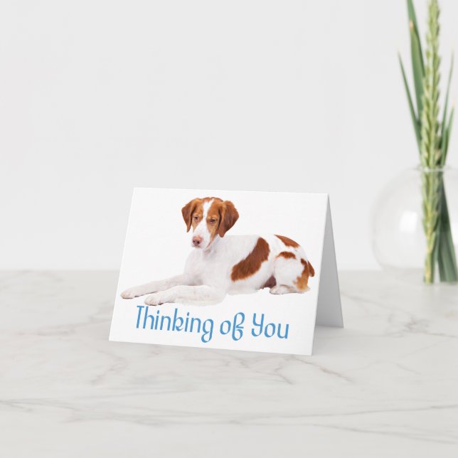 Tarjeta Pensando En Ti, Británico Perro Cachorro Español (Anverso)