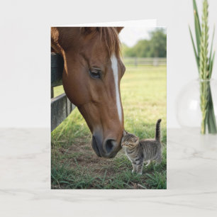 Tarjeta Pensando en ti Caballo con gatito atigrado