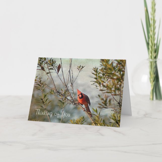 Tarjeta Pensando en ti - Cardenal del Norte en Wax Myrtle (Anverso)