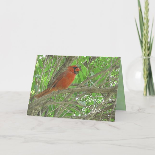 Tarjeta Pensando en Ti | Cardenal Posado en Rama de Árbol  (Anverso)