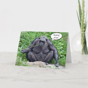 Tarjeta Pensando en ti, chimpancé