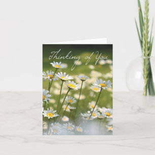 Tarjeta Pensando en ti   Daisy Flower Photo Card