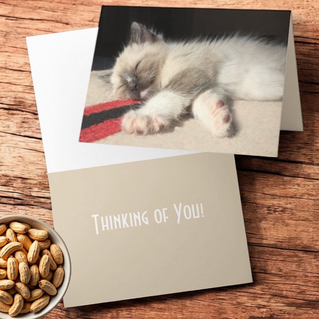 Tarjeta Pensando en ti durmiendo la foto de un gatito siam (Folding greeting card cover and inside template text )