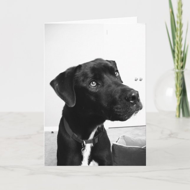 Tarjeta Pensando en ti en tu cumpleaños (Anverso)