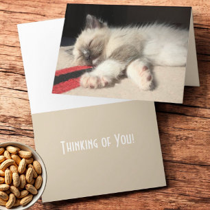 Tarjeta Pensando en ti fotografía de gatito siamés durmien
