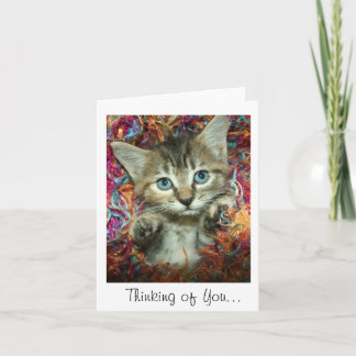 Tarjeta Pensando en ti... Gray Tabby Kitten