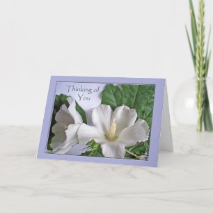 Tarjeta Pensando en ti, hibiscus Rosa de Sharon