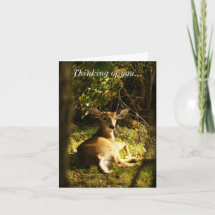 Tarjeta Pensando En Ti Joven Buck En La Parada