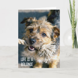 Tarjeta Pensando en Ti Juego de Soga para Perros