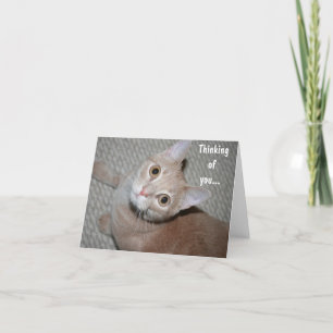 Tarjeta Pensando en ti Kitten