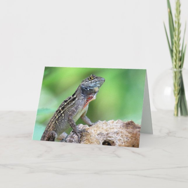 Tarjeta Pensando en ti... Lizard (Anole Marrón) (Anverso)