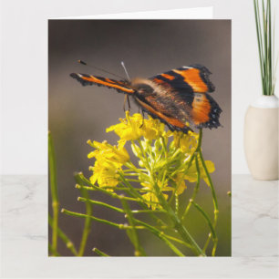 Tarjeta Pensando en ti mariposa de Tortoiseshell de Milber