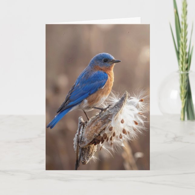 Tarjeta Pensando en Ti Pájaro Azul en una Vaina de Algodon (Anverso)