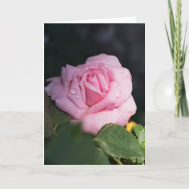 Tarjeta Pensando en ti - Rosa rosa