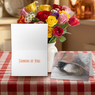 Tarjeta Pensando en Ti Siames Cute y Boceto de Manta