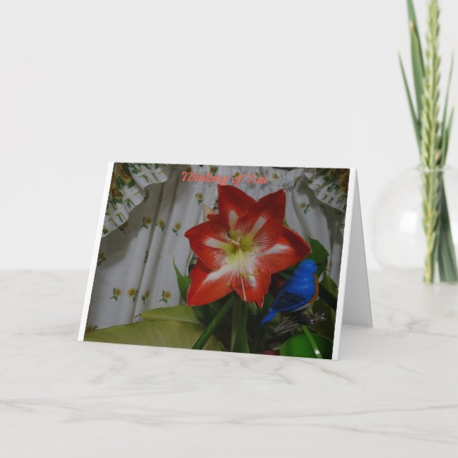Tarjeta Pensando en ti, Stargazer Amaryllis (Anverso)