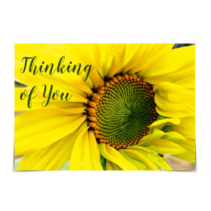 Tarjeta "Pensando en ti" Sunny Thoughts Sunflower Card