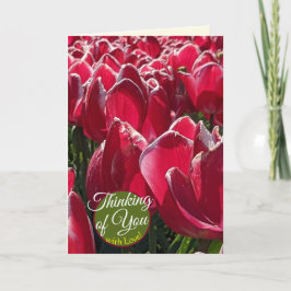 Tarjeta Pensando en Ti Tulipanes Rojos Saludos con Flores