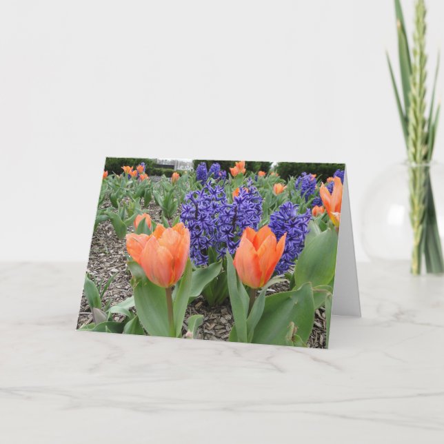 Tarjeta Pensando en ti, tulipanes y jacintos (Anverso)