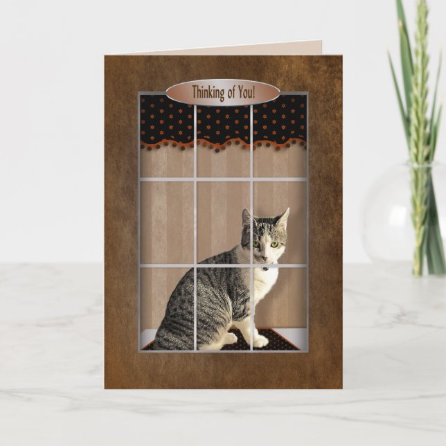 Tarjeta Pensando en ti - Ventana de aspecto de gato (Anverso)