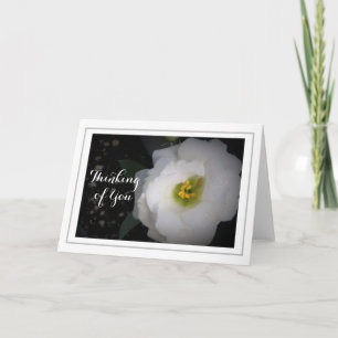 Tarjeta Pensando en ti White Lisianthus