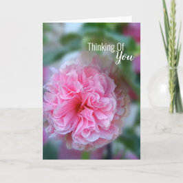 Tarjeta Pensando En Tu Foto Hollyhock