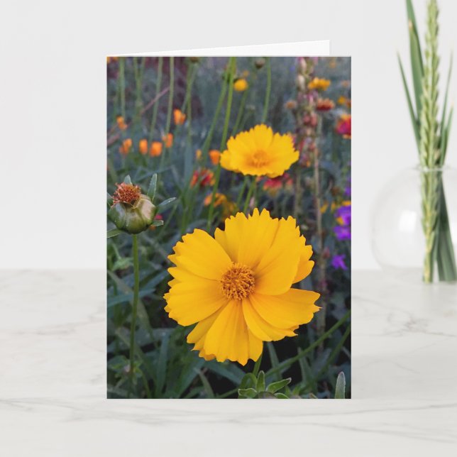 Tarjeta Pensando en tu Naranja Cosmos. (Anverso)