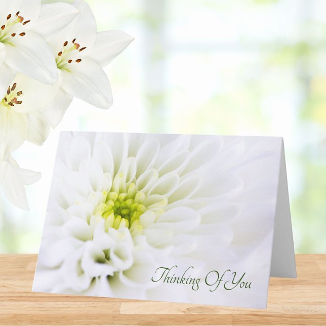 Tarjeta Pensando En Tu Simpatía De Flor Blanca (Subido por el creador)