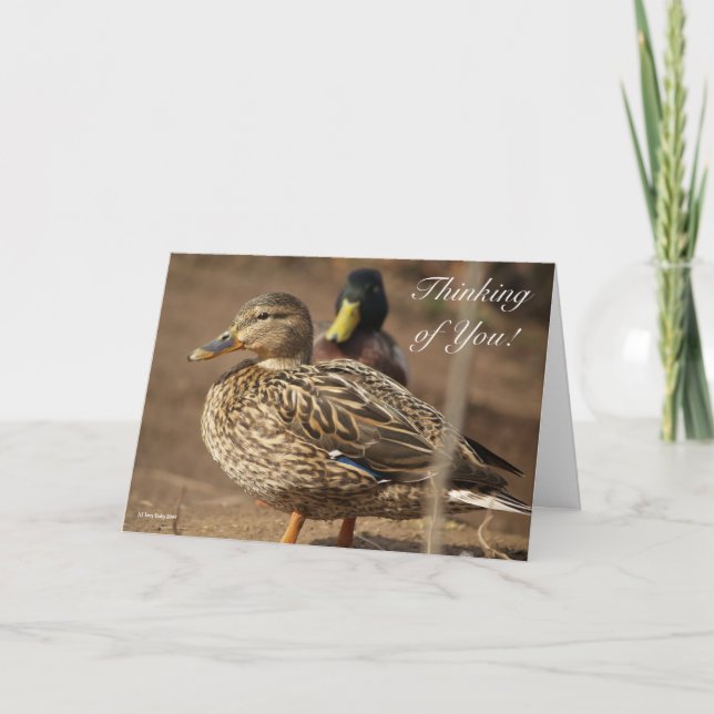 Tarjeta Pensando en tus pollos (Anverso)