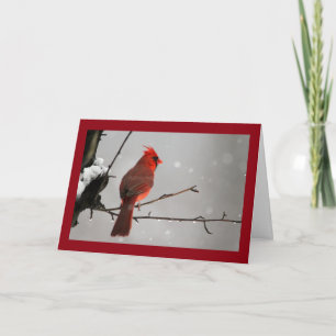 Tarjeta Pensando en usted Cardinal Card