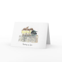 Pensando en usted - cuatro pequeños pájaros, 1 se