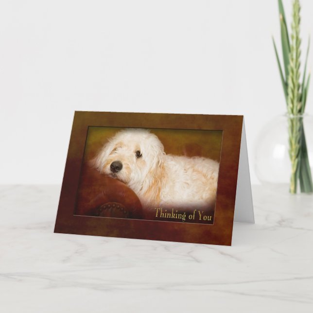 TARJETA PENSANDO EN USTED - DOODLE DE ORO (MASCOTA) EN SOF (Anverso)