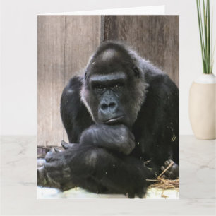 TARJETA PENSANDO EN USTED GORILLA FUNNY GREETING CARDS