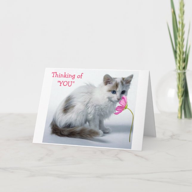 TARJETA PENSANDO EN USTED/USTED ESTÁ HACIENDO UN AÑO MAYOR (Anverso)