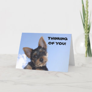 TARJETA ¡PENSANDO EN USTEDES!